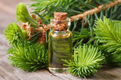 Fir-Needle-Essential-Oil