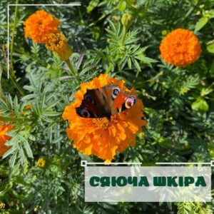 Смесь гидролатов «СИЮЩАЯ КОЖА»